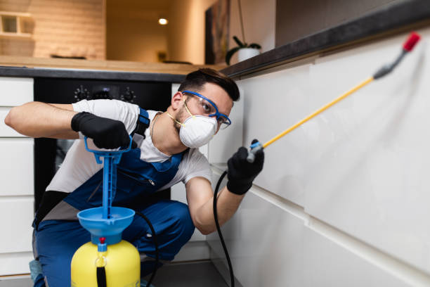 Best Cockroach Control Services  in Wyoming, MN