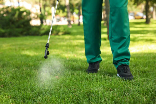Best Best Pest Control Companies  in Wyoming, MN