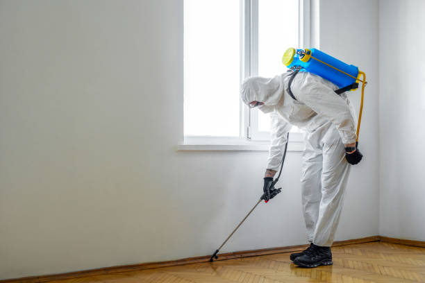 Best Flea Control Services  in Wyoming, MN