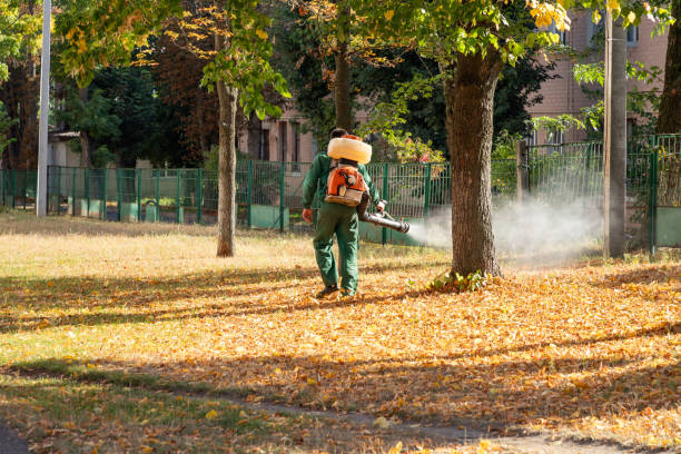 Wasp Removal Services in Wyoming, MN