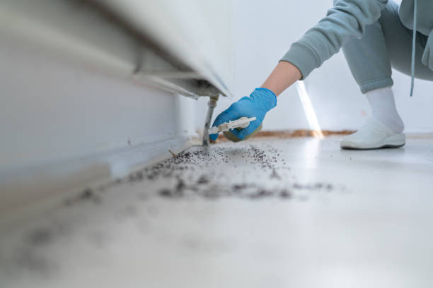 Best Pest Control Treatment  in Wyoming, MN